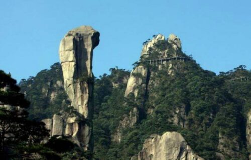 中国十大动物石景观(动物化石都有哪些)