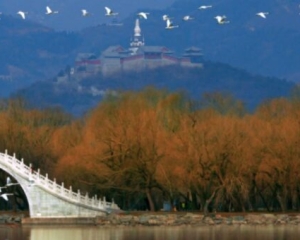 中国十大最美景点，黄山上榜(中国最美的十大景区是哪几个)